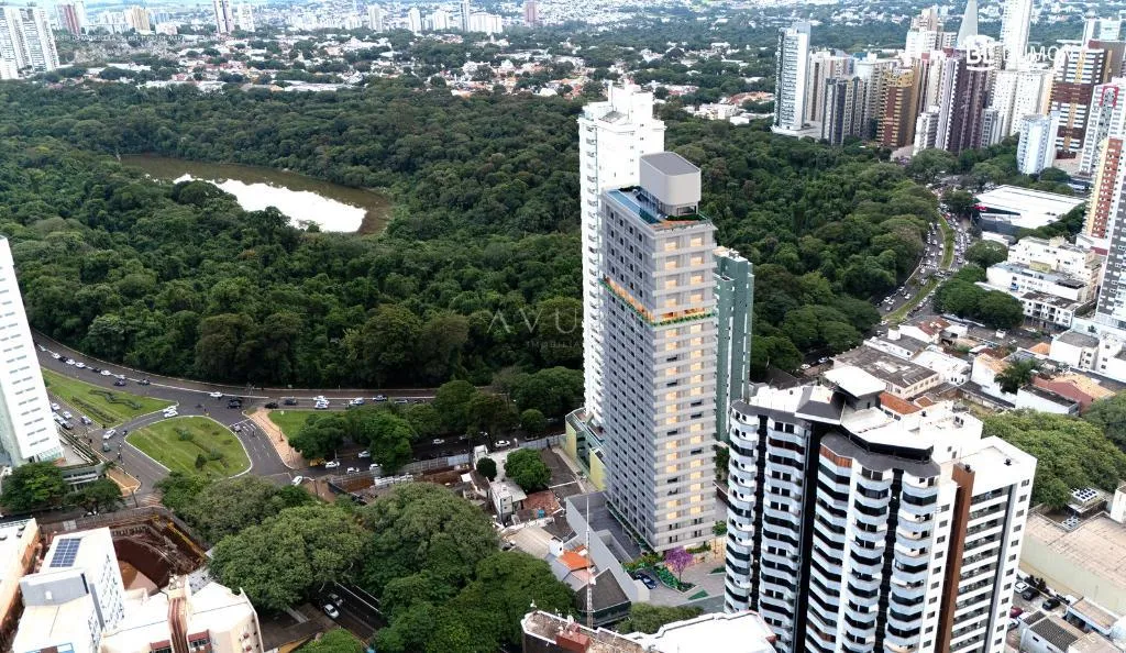 BÊ Dumont — foto 18