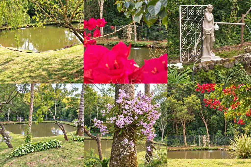 Chácara à venda em Sarandi, Parque Alvamar, com 2 suítes, com 3.604 m², Condomínio Estância Zaúna — foto 12