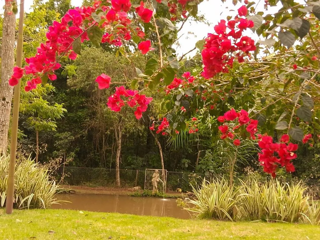 Chácara à venda em Sarandi, Parque Alvamar, com 2 suítes, com 3.604 m², Condomínio Estância Zaúna — foto 11