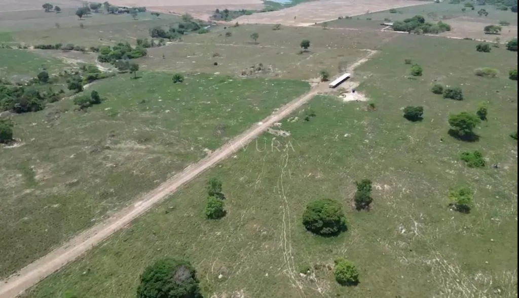 Fazenda à venda em Terra Nova do Norte, Décima Agrovila, com 1 quarto, com 1.100 m², Terra Nova do Norte - MT