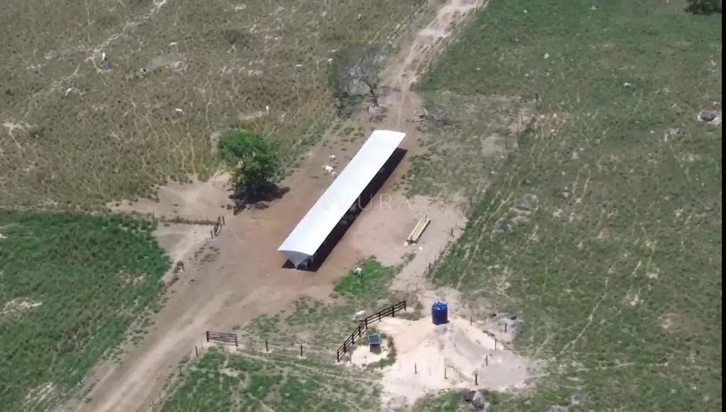Fazenda à venda em Terra Nova do Norte, Décima Agrovila, com 1 quarto, com 1.100 m², Terra Nova do Norte - MT — foto 7