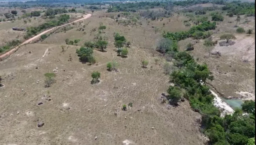 Fazenda à venda em Terra Nova do Norte, Décima Agrovila, com 1 quarto, com 1.100 m², Terra Nova do Norte - MT — foto 5