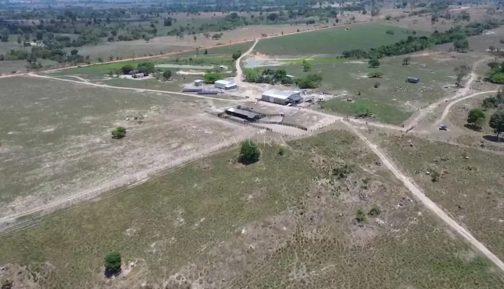 Fazenda à venda em Terra Nova do Norte, Décima Agrovila, com 1 quarto, com 1.100 m², Terra Nova do Norte - MT — foto 8