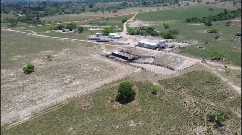 Fazenda à venda em Terra Nova do Norte, Décima Agrovila, com 1 quarto, com 1.100 m², Terra Nova do Norte - MT — foto 3