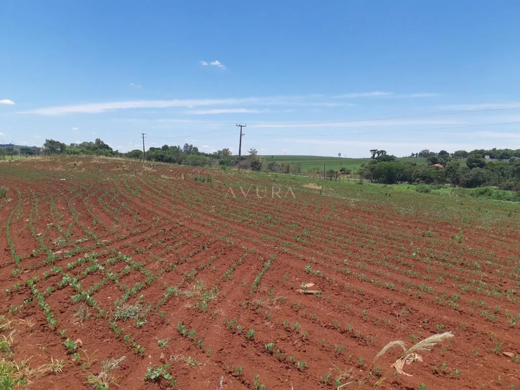 Área à venda em Doutor Camargo, Centro, com 290.400.000 m², Doutor Camargo — foto 5