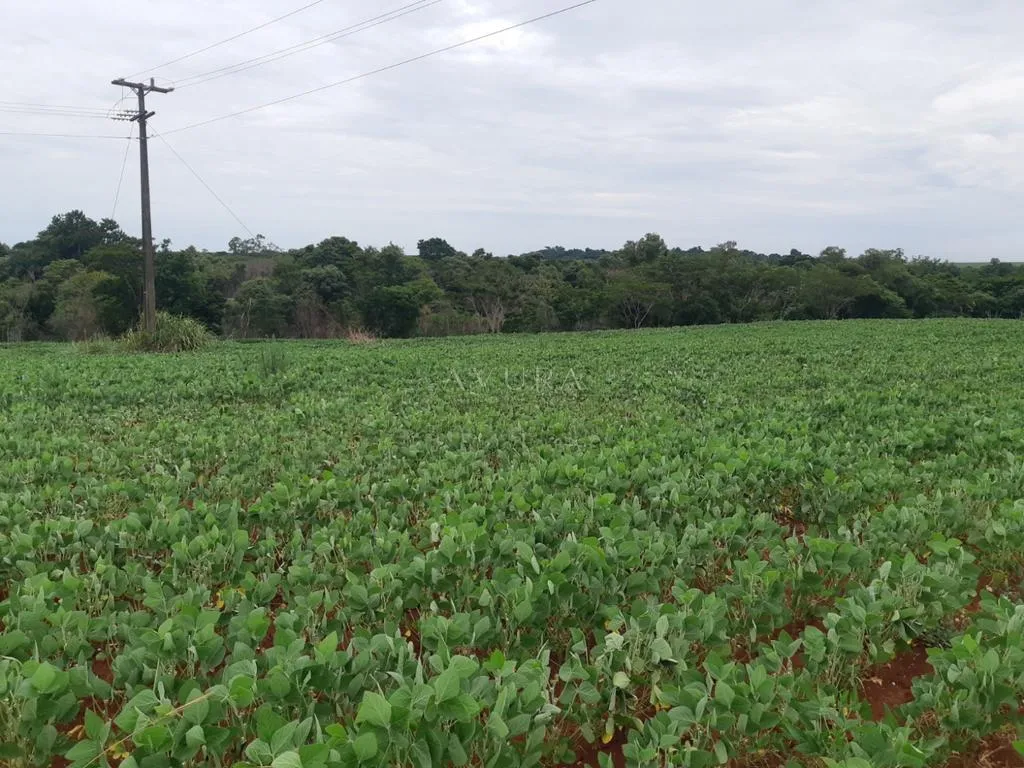 Área à venda em Doutor Camargo, Centro, com 290.400.000 m², Doutor Camargo — foto 7