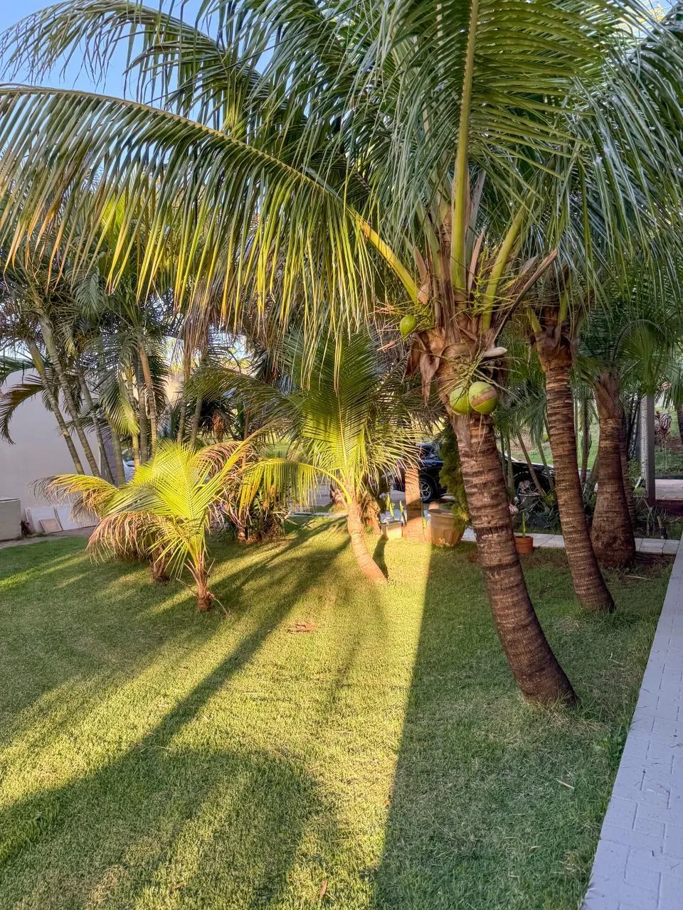 Casa à venda em Maringá, Jardim Bertioga, com 4 suítes, Jardim Bertioga — foto 27
